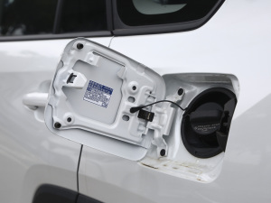 2021p 2.5L CVT(q)Ӣ w