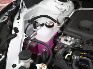 2021款双擎 2.5L CVT两驱精英版 其它