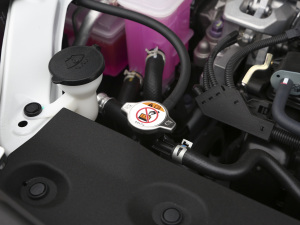 2021款双擎 2.5L CVT两驱精英版 其它