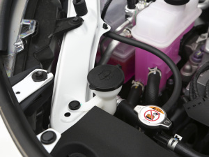 2021款双擎 2.5L CVT两驱精英版 其它