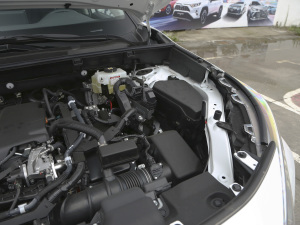 2021款双擎 2.5L CVT两驱精英版 其它