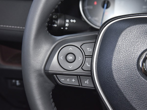 2021款双擎 2.5L CVT四驱旗舰版 音响调节