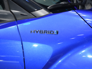 2021p 2.0L Ű (x)(ji)^