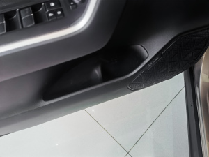 20212.5L 򌾫ӢPro g