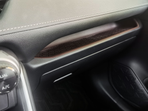 20212.5L 򌾫ӢPro g