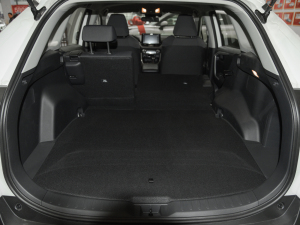 2021��2.5L ��򌶼��Pro ���g����