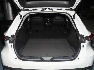 2022款2.0L CVT两驱豪华版 空间座椅