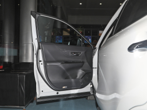 2022款2.0L CVT两驱豪华版 驾驶位车门