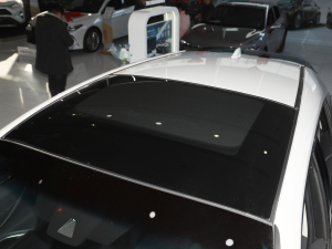2022款2.0L CVT两驱豪华版 车顶