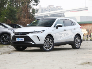 2022款双擎 2.5L CVT四驱尊享版 左前45度