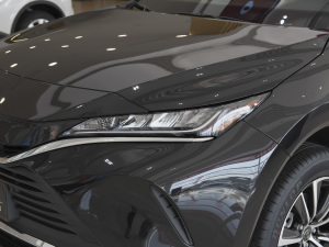 2022款双擎 2.5L CVT两驱豪华版 大灯
