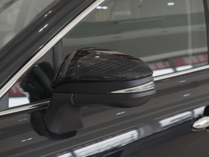 2022款双擎 2.5L CVT两驱豪华版 后视镜