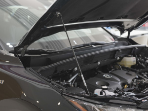 2022款双擎 2.5L CVT两驱豪华版 其它