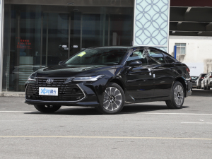 2022款2.0L 进取版 左前45度