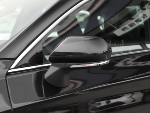 2022款2.0L 进取版 后视镜