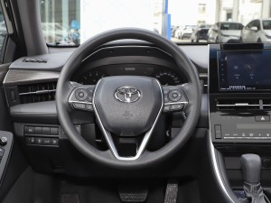 2022款2.0L 进取版 方向盘