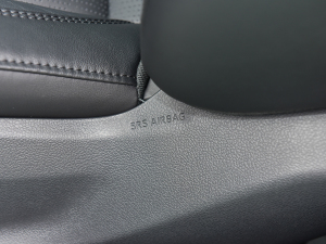 20222.0L XLE п؅^(q)