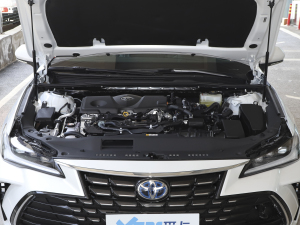 2022款双擎 2.5L 豪华版 其它