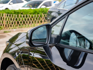 2022(q)L(zhng)m(x)PRO (x)(ji)^