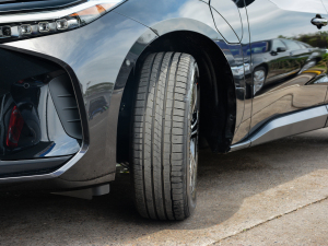 2022(q)L(zhng)m(x)PRO (x)(ji)^