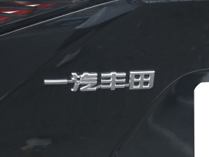 2022款两驱精英JOY版 细节外观