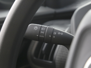 2022(q)ӢJOY п؅^(q)