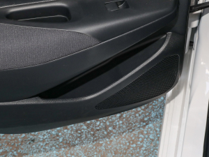 20221.2T S-CVThPLUS Tg