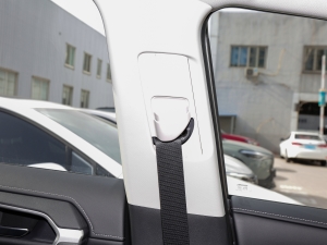 2022p 2.5L CVT򌾫ӢPlus g