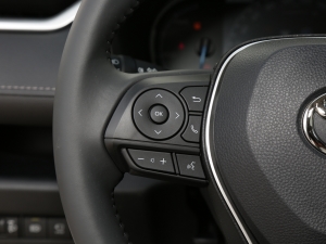 2022p 2.5L CVT(q)ӢPlus п؅^(q)