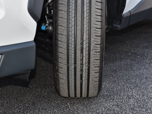 20222.5L 򌾫ӢPro ^