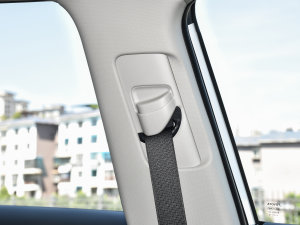 20222.5L 򌾫ӢPro g