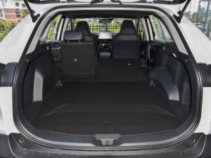 20222.5L 򌾫ӢPro g