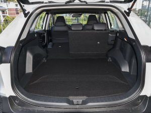 20222.5L 򌾫ӢPro g