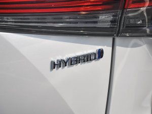 2022款2.5L HEV四驱精英版 细节外观