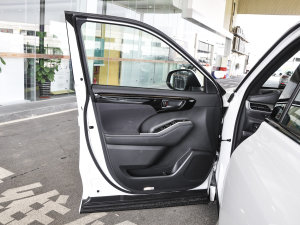 2022款2.5L HEV四驱精英版 驾驶位车门