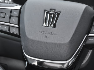 2022款2.5L HEV四驱精英版 中控区