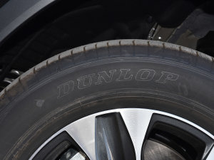 2022款2.5L HEV两驱精英版 轮胎品牌