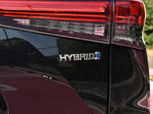 2022款2.5L HEV两驱精英版 细节外观