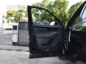 2022款2.5L HEV两驱精英版 驾驶位车门