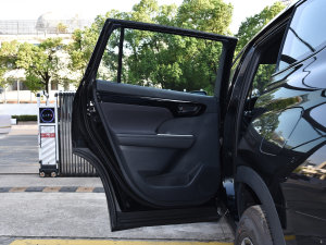 2022款2.5L HEV两驱精英版 左后车门