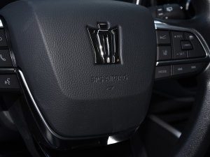 20222.5L HEV򌾫Ӣ п؅^