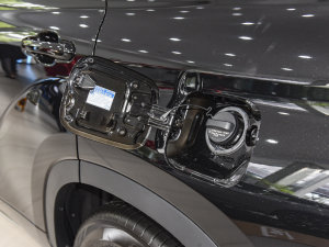 2022款2.5L HEV四驱豪华版 油箱盖
