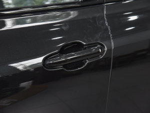 2022款2.5L HEV四驱豪华版 主驾门拉手