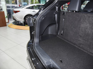 2022款2.5L HEV四驱豪华版 空间座椅