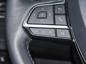 2022款2.5L HEV四驱豪华版 音响调节
