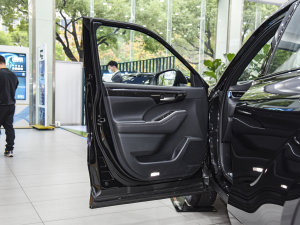 2022款2.5L HEV四驱豪华版 驾驶位车门