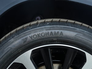 20222.5L HEVŞ ݆̥Ʒ