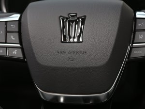2023款2.5L HEV四驱尊贵版 中控区
