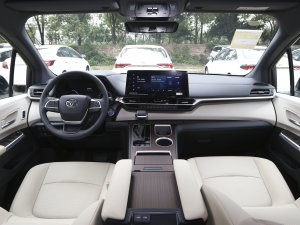 20232.5L FPLUS (ni)ȫ