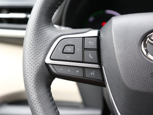 20232.5L VIP п؅^(q)